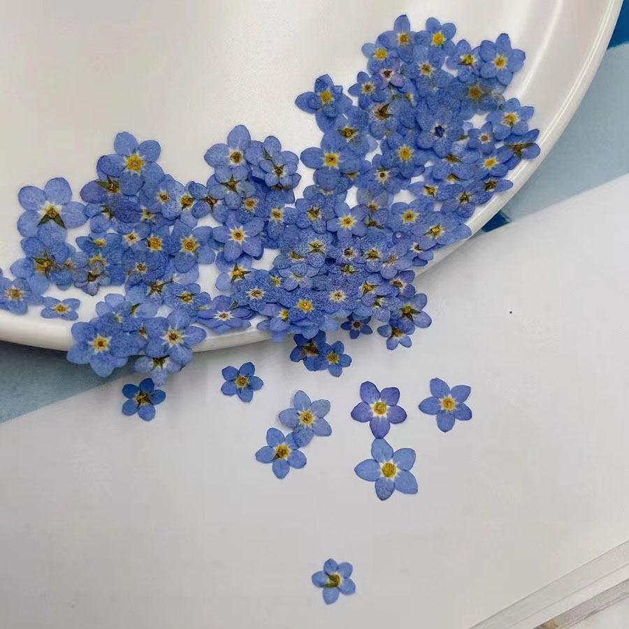 60 adet Mini Preslenmiş Kurutu - Resin Art Baby incelemesi ve fiyatı
